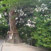 ヒメ日記 2026/06/15 13:29 投稿 まひる 茨城日立ちゃんこ