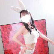 ヒメ日記 2026/07/27 08:07 投稿 ミコト【美しく淫らに咲く花】 バニーコレクション 中洲店