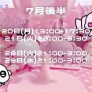 このたん☆未経験可愛いロリ美少女 今月の予定です🗓💭 PREMIUM萌え可愛いチョコレート～全てのステージで感動の体験を～