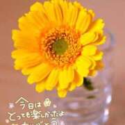 ヒメ日記 2026/07/15 21:58 投稿 まき One More 奥様 千葉店