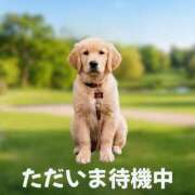 ヒメ日記 2026/06/11 18:30 投稿 アンジュ 鶯谷人妻ヘブン