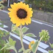 ヒメ日記 2026/08/10 23:34 投稿 すみ 人妻倶楽部 内緒の関係 大宮店