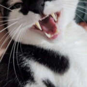 ヒメ日記 2026/10/23 08:23 投稿 りり 熟女の風俗最終章 八王子店