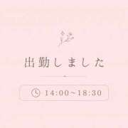 ヒメ日記 2026/07/08 14:21 投稿 うい 奥様さくら難波店