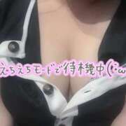 ヒメ日記 2026/07/15 12:21 投稿 うい 奥様さくら難波店