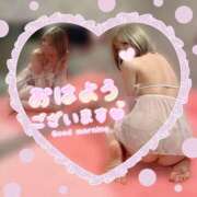 ヒメ日記 2026/06/20 09:20 投稿 めるる(ﾊﾋﾟﾈｽ兼任) ドリーム水戸