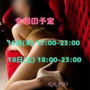 ヒメ日記 2026/07/14 12:05 投稿 りかこ 花夫人