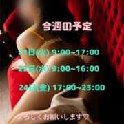 ヒメ日記 2026/07/21 06:05 投稿 りかこ 花夫人