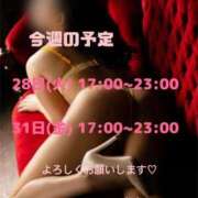 ヒメ日記 2026/07/27 09:02 投稿 りかこ 花夫人