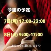 ヒメ日記 2026/09/07 12:01 投稿 りかこ 花夫人