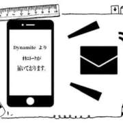 ヒメ日記 2026/06/16 22:26 投稿 ダイナマイトケイトテロに注意 俺のジュニア