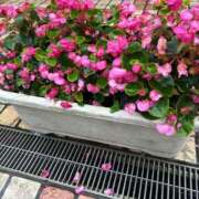 ヒメ日記 2026/06/27 06:21 投稿 まこと シークレットタッチ