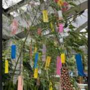 ヒメ日記 2026/07/07 07:29 投稿 まこと シークレットタッチ