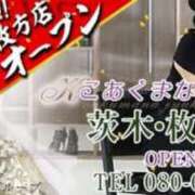 ヒメ日記 2026/06/02 07:40 投稿 内海りみ こあくまな熟女たち茨木・枚方店(KOAKUMAグループ)