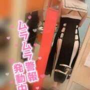 ヒメ日記 2026/06/08 12:24 投稿 らん Beppin house