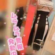 ヒメ日記 2026/08/21 15:38 投稿 らん Beppin house