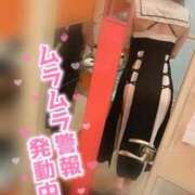 ヒメ日記 2026/09/26 13:21 投稿 らん Beppin house