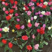ヒメ日記 2026/05/28 11:59 投稿 ななみ 神田ハンドメイド
