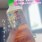 ヒメ日記 2026/06/29 12:04 投稿 まりな 千葉松戸ちゃんこ