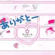 ヒメ日記 2026/08/12 12:21 投稿 もな 川崎ソープ SAPPHIER -サファイア-