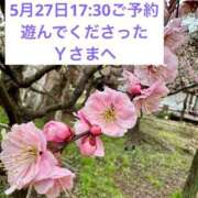 ヒメ日記 2026/05/27 19:02 投稿 みな 俺のヤバい妻。(谷九)