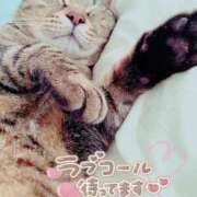 ヒメ日記 2026/06/19 11:40 投稿 秋乃(あきの) エッチな熟女(広島)