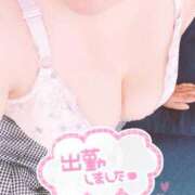 ヒメ日記 2026/07/29 11:40 投稿 秋乃(あきの) エッチな熟女(広島)