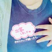 ヒメ日記 2026/08/11 11:00 投稿 秋乃(あきの) エッチな熟女(広島)