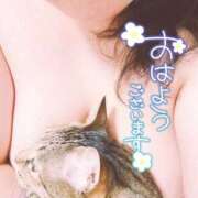 ヒメ日記 2026/09/14 08:50 投稿 秋乃(あきの) エッチな熟女(広島)