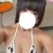 ヒメ日記 2026/07/12 17:30 投稿 ゆえ E+アイドルスクール品川店