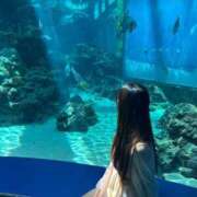ヒメ日記 2026/06/22 19:40 投稿 HANI GINGIRA☆TOKYO～ギンギラ東京～