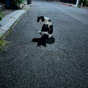 なな 猫ちゃんみたいに♡ YOKOHAMAあられ