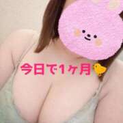ヒメ日記 2026/06/26 15:31 投稿 つき 茨城ちゃんこ土浦つくば店