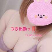 ヒメ日記 2026/08/28 11:16 投稿 つき 茨城ちゃんこ土浦つくば店