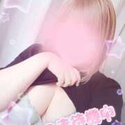 ヒメ日記 2026/09/23 11:12 投稿 つき 茨城ちゃんこ土浦つくば店