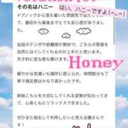 ヒメ日記 2026/06/11 16:01 投稿 ☆Honey☆【ハニー】 Evolution1st キタ兎我野店