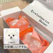 ヒメ日記 2026/06/14 14:02 投稿 ☆Honey☆【ハニー】 Evolution1st キタ兎我野店
