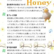 ヒメ日記 2026/09/24 17:24 投稿 ☆Honey☆【ハニー】 Evolution1st キタ兎我野店