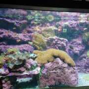 ヒメ日記 2026/08/11 15:43 投稿 高峰（たかみね） 丸妻 錦糸町店