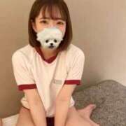ちいかの【体験入店】 今日から‼️ Minette ～ミネット～ 高崎店