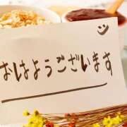 ヒメ日記 2026/10/12 07:57 投稿 麻里香（まりか） ぎんねこ