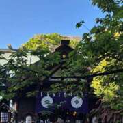 ヒメ日記 2026/06/01 06:36 投稿 こゆん ハピネス東京 吉原店