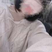 せいら 出勤🐈 シークレットサービス