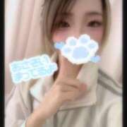 ヒメ日記 2026/06/08 08:13 投稿 りて【FG系列】 フィーリングin横浜