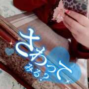 ヒメ日記 2026/05/31 12:41 投稿 めい 丸妻 池袋店