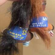 ヒメ日記 2026/06/01 22:13 投稿 瀬川 ことね La elf（ラ・エルフ）
