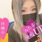 ヒメ日記 2026/06/12 23:15 投稿 ちひろ 多恋人倶楽部　宇部