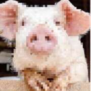 ヒメ日記 2026/06/24 22:15 投稿 すみれ 奥様の実話 梅田店