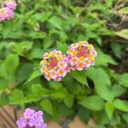 ヒメ日記 2026/07/03 17:08 投稿 すみれ 奥様の実話 梅田店