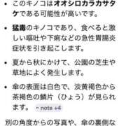 ヒメ日記 2026/07/10 12:02 投稿 すみれ 奥様の実話 梅田店